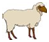 Illustration of a lamb with a brown head, brown legs and feet and a white body.